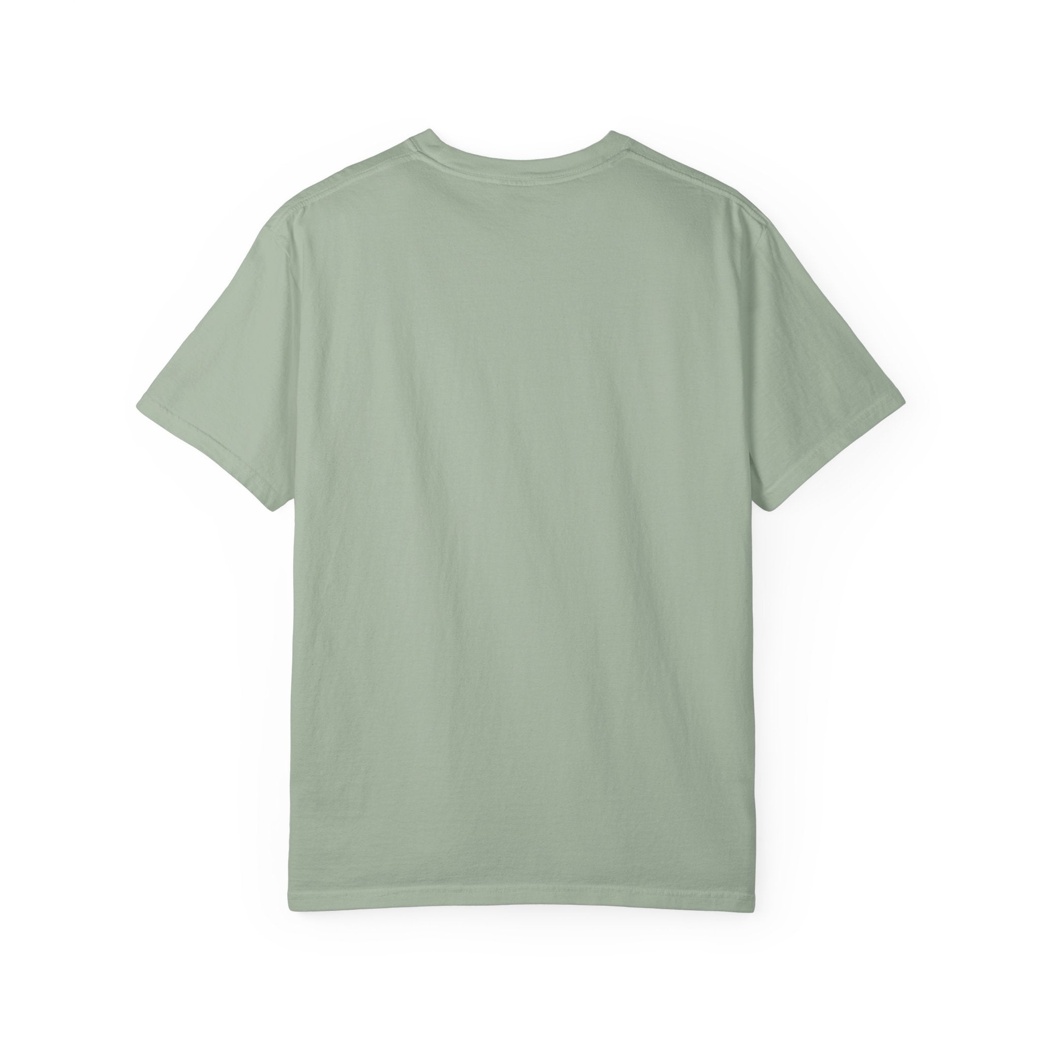 The 757 Aviation T-Shirt - The Flying Pencil