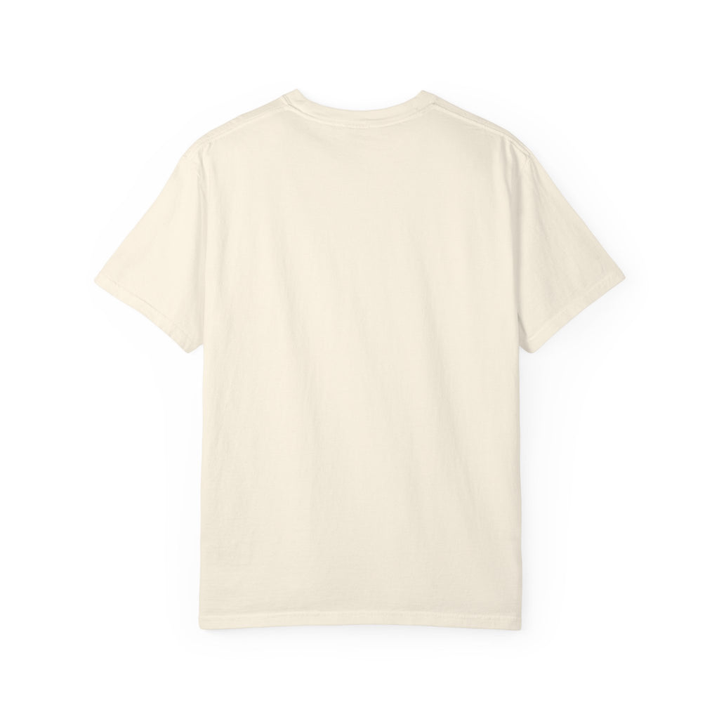 The 757 Aviation T-Shirt - The Flying Pencil