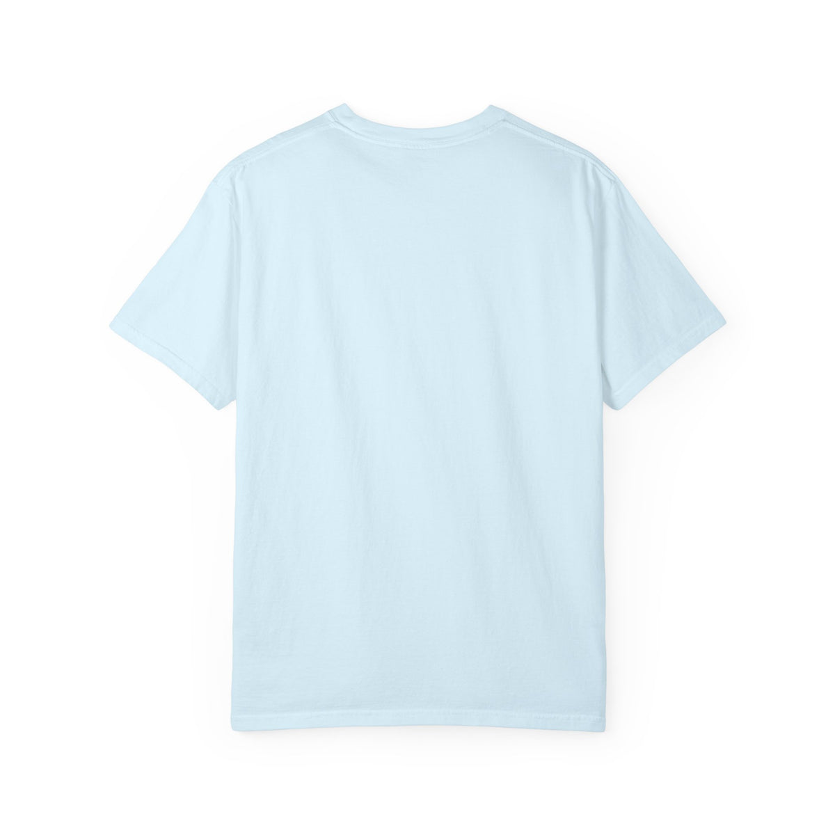 The 757 Aviation T-Shirt - The Flying Pencil