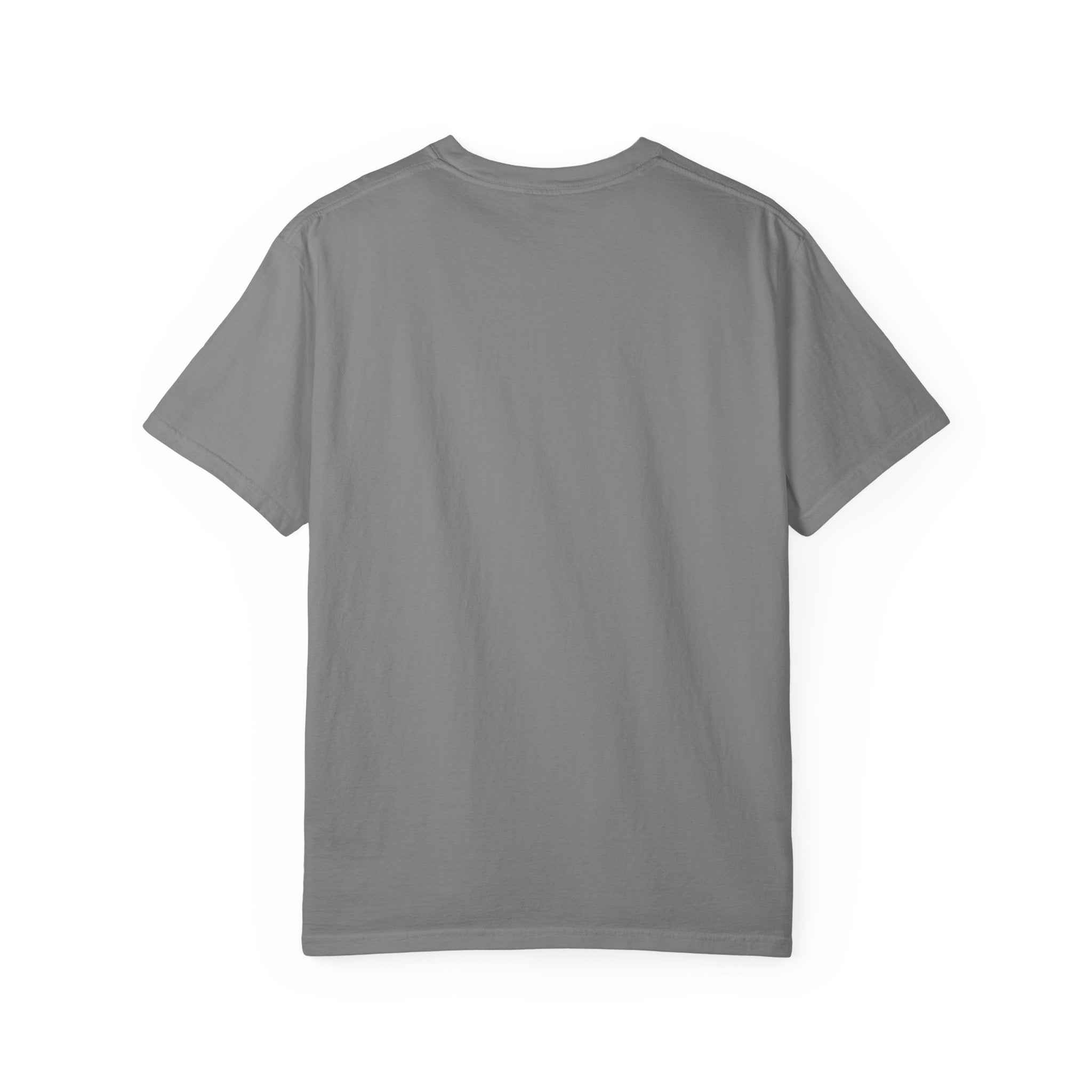 The 757 Aviation T-Shirt - The Flying Pencil