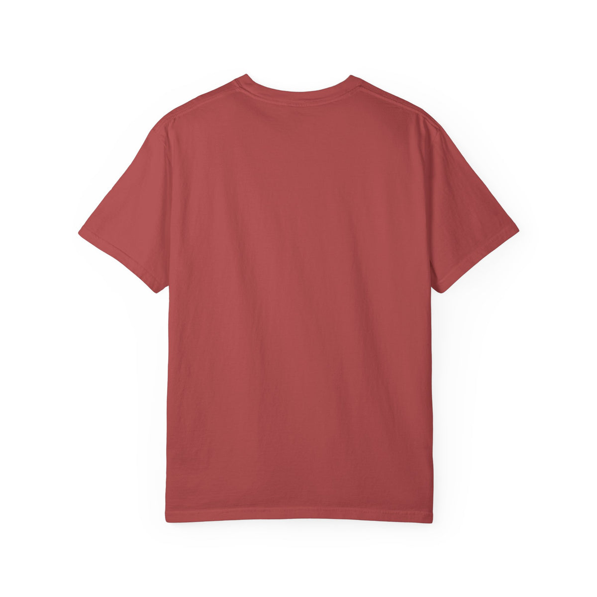 The 757 Aviation T-Shirt - The Flying Pencil