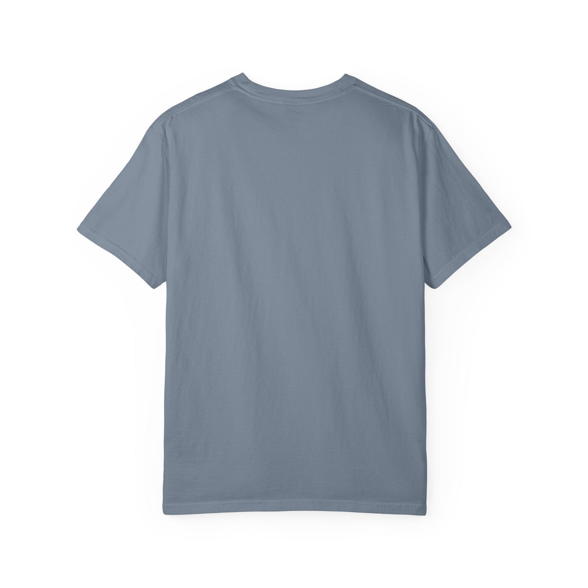 The 757 Aviation T-Shirt - The Flying Pencil