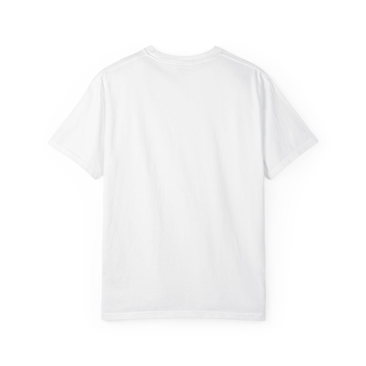 The 757 Aviation T-Shirt - The Flying Pencil