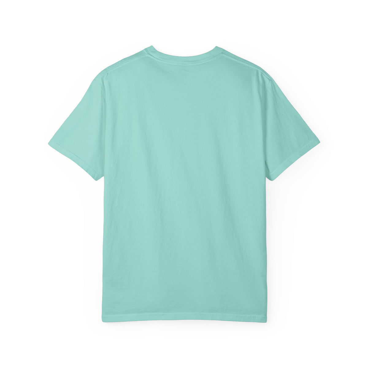 The 757 Aviation T-Shirt - The Flying Pencil
