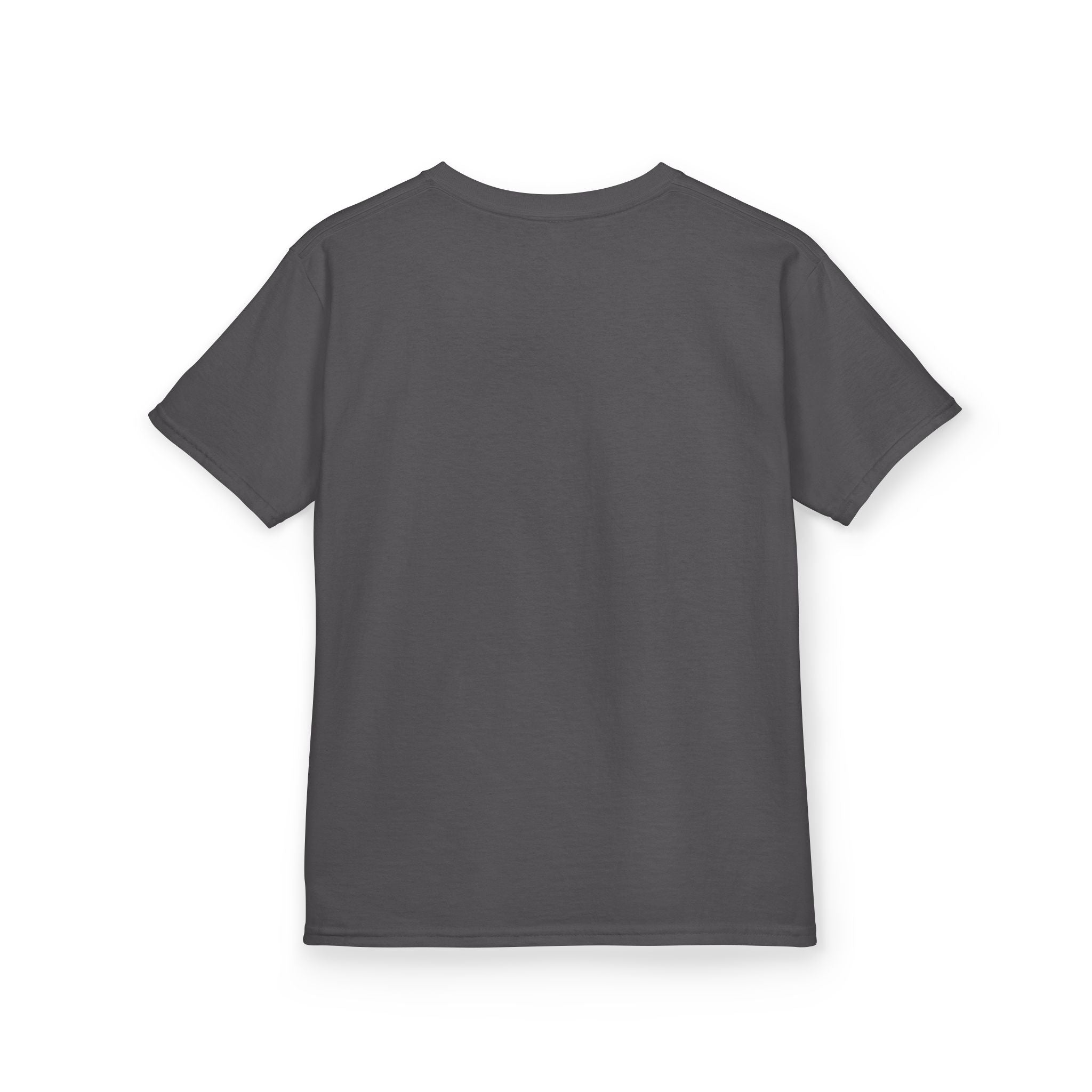Kids Airplane T-Shirt - Fly Janet Airlines