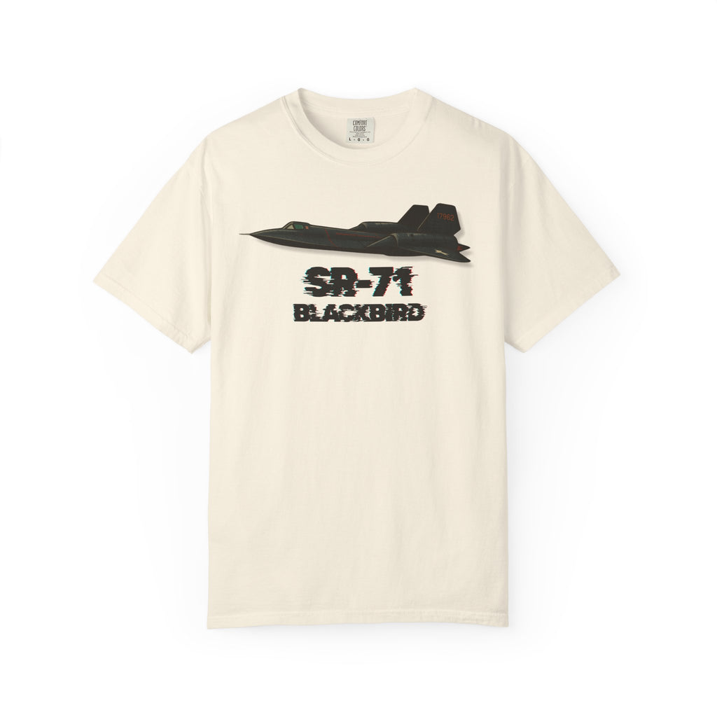 Blackbird - SR-71 - The F.O.A.T Airplane T-Shirt
